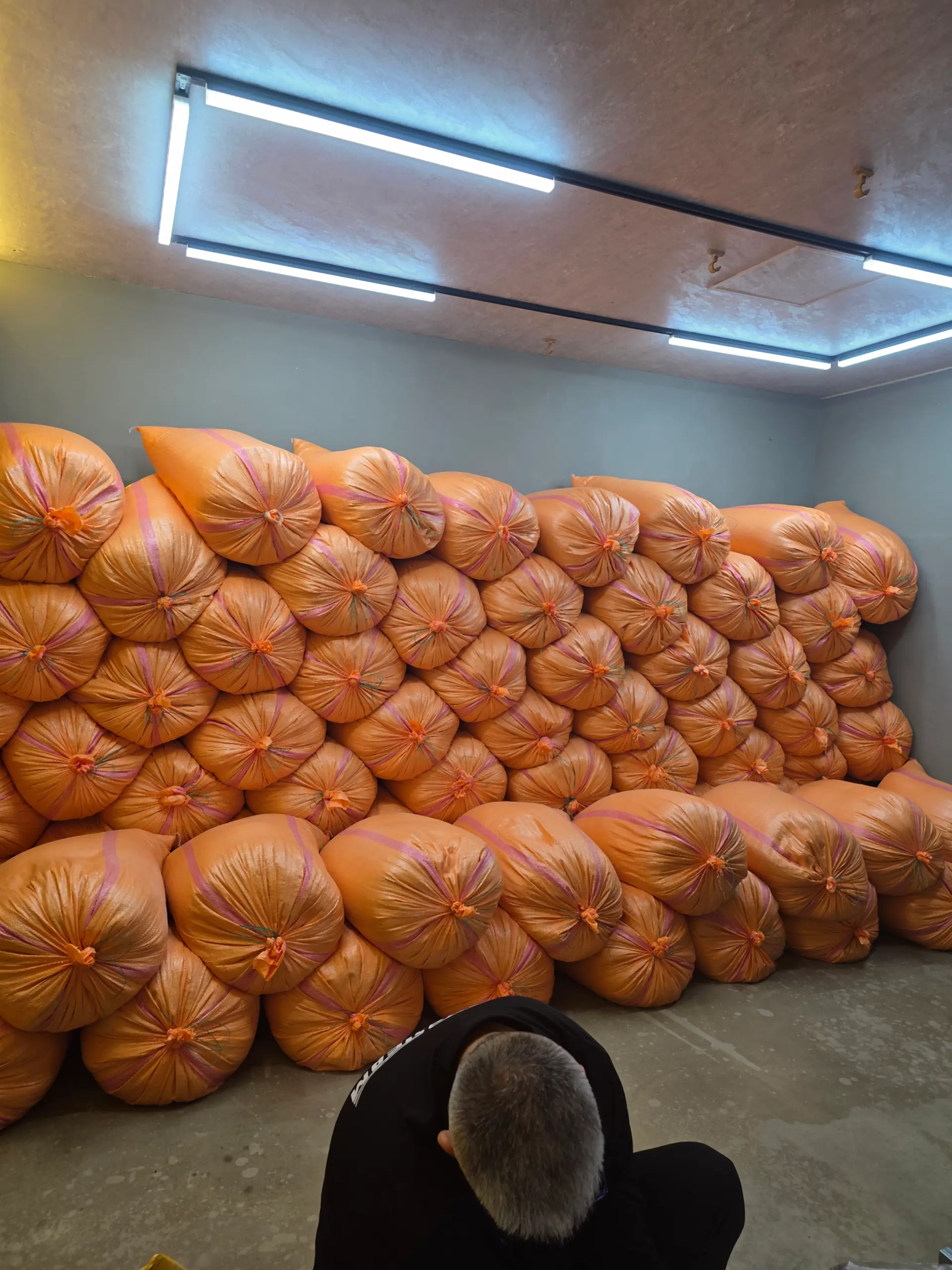 울산 삼산 효소온 울산힐링드림점